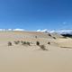 Visitors on the dunes. Dunes are adjacent to the campground