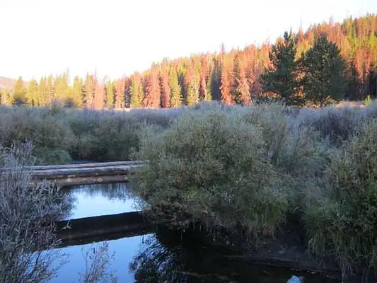 001, Loop: AREA MAY CREEK CABIN