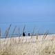 Dunbar Beach in Indiana Dunes National Lakeshore.