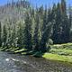 Nez Perce-Clearwater National Forest