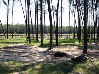 Campground image 2