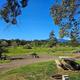 Campspot slideshow image 5