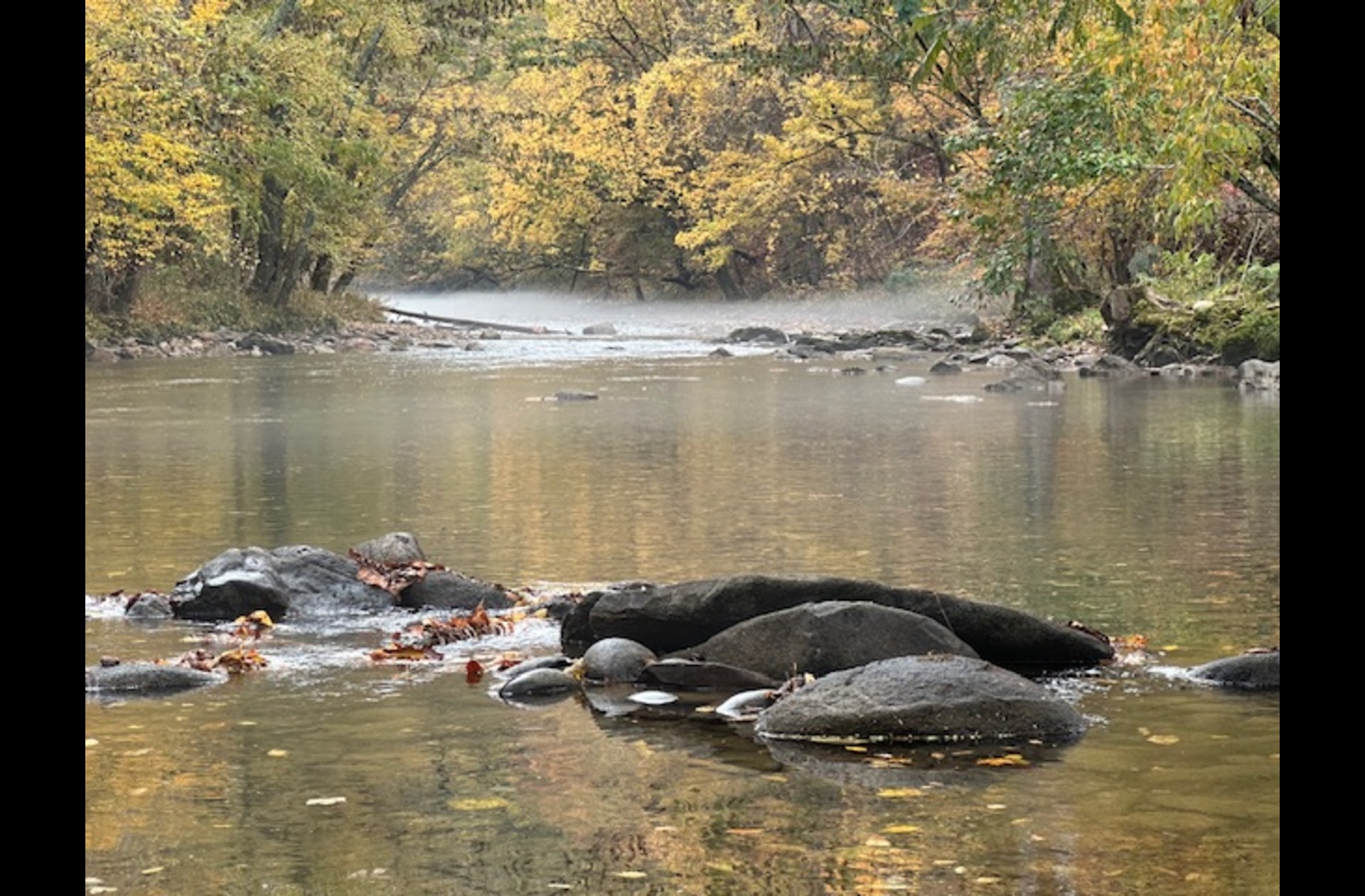 Uncle Jim's River Cove Campground