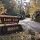 View of Loon Lake Recreation Site entrance sign in the foreground with the entrance road in the background.