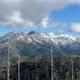 Bear Basin Cabin & Lookout