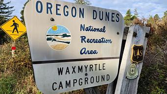 Waxmyrtle Campground