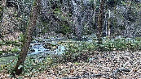 Crystal Creek Primitive Campground