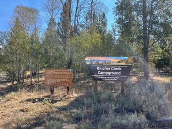 Blucher Creek Campground