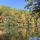 Dockery Lake with Fall Colors
