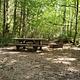 Secluded picnic Table and fire ring next to a sun dappled thicket.