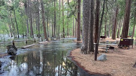 North Pines Campground