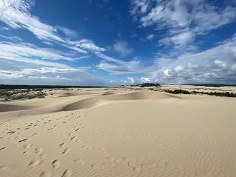 View of the dunes adjacent to the campground