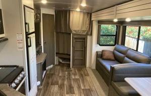 The cozy cougar