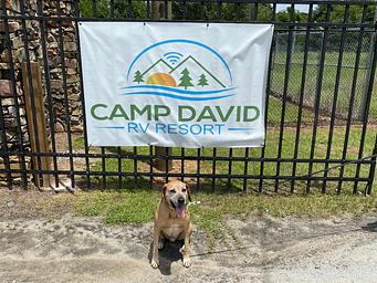 Campground image 2