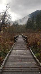 Boardwalk on Wetlands Trail
