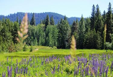 Thousand Trails Leavenworth
