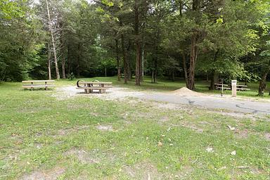 Maple Springs Camp Site 5