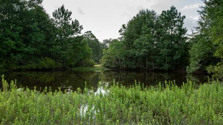 Campspot slideshow image 3