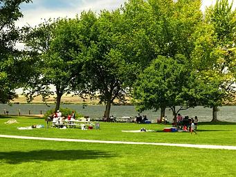 Charbonneau Park Picnic area