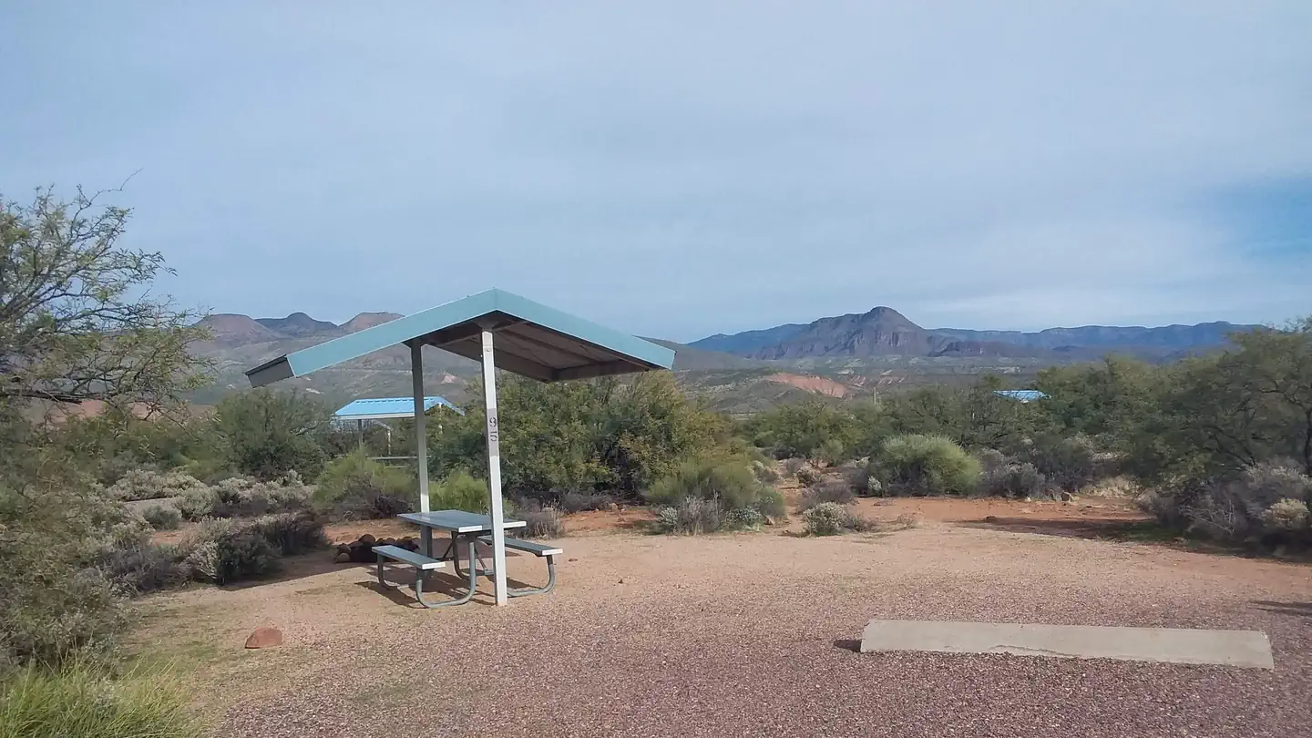 Cholla Campground