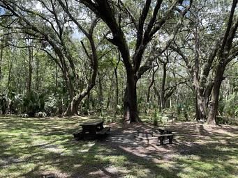 Ocklawaha Prairie Restoration Area Hike-In SJRWMD