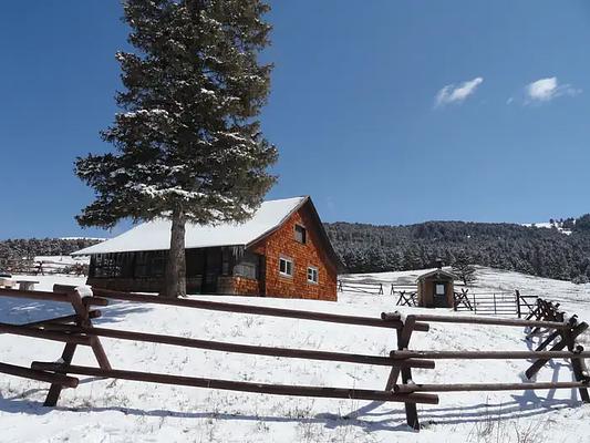 001, Loop: AREA PORCUPINE CABIN