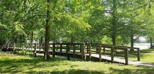 Blue Bluff Campground (Aberdeen Ms)