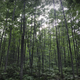 Campspot slideshow image 2