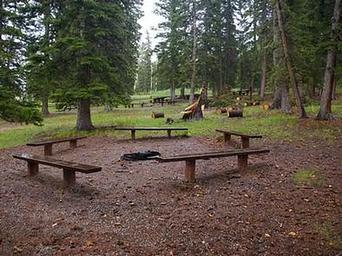 Iron Springs Group Ashley