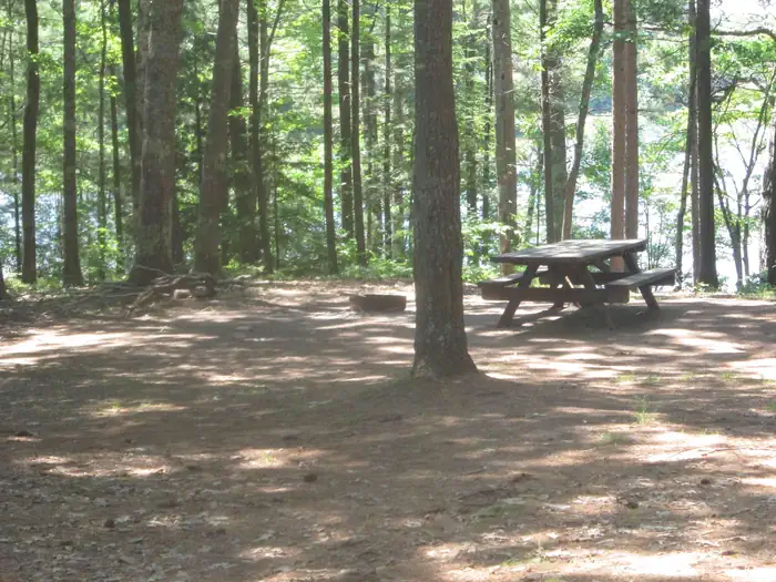 Little Bass Lake Campsites