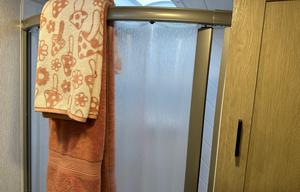 2024 Forest River RV Salem 36VBDSX RV rental photo 4