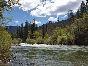 North Fork Yuba River