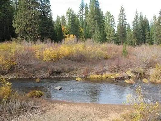 Camp 4 Group, Loop: CAMP 4 GROUP CAMPGROUND