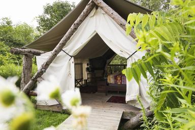 Ithaca by Firelight Camp