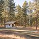 Clear photograph of a canvas glamping tent set among pine trees on the property — showcases a specific campsite/lodging type referenced on the site.