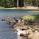 MANZANITA LAKE GROUP CAMPGROUND