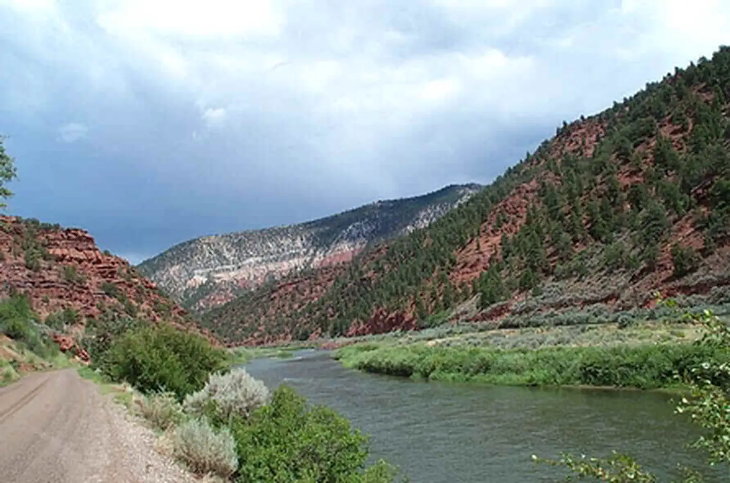 Cottonwood Site