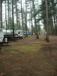 Row of RVs and campsites among pine trees — clear photo of RV pitches and site layout, from the property Pictures gallery.