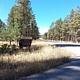 Jemez Falls Campground Entrance Sign
