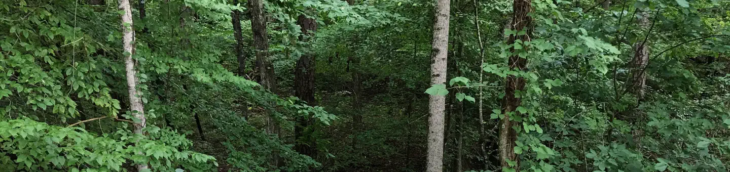 Parksville Lake RV Campground