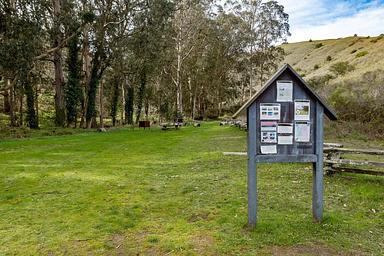 A bulletin board with signs in a meadow. Picnice tables and food lockers are in the background. The campground is lined with trees.