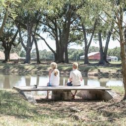 Campground image 2
