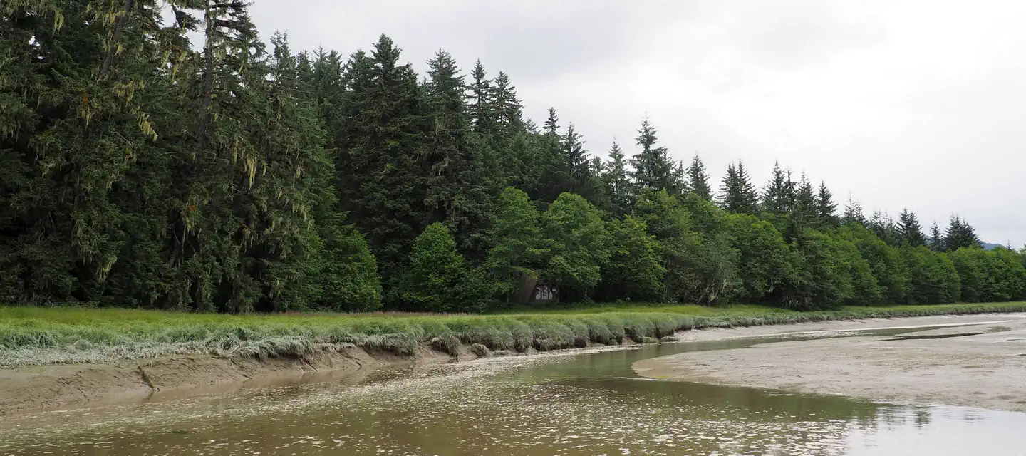 Mallard Slough Cabin