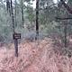 Lynx Campground Trail Head 1