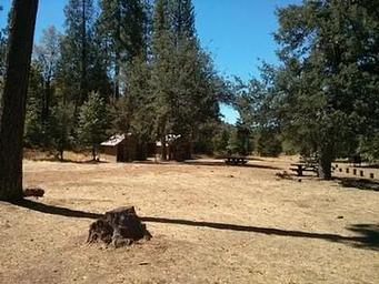 PINES GROUP STANISLAUS
