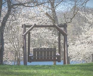 The Pines Campground @ Camp Living Waters