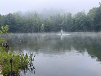 Camp Holly
