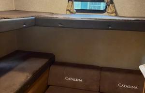 Bonnaroo Friendly 2019 Catalina Legacy Gaal1872