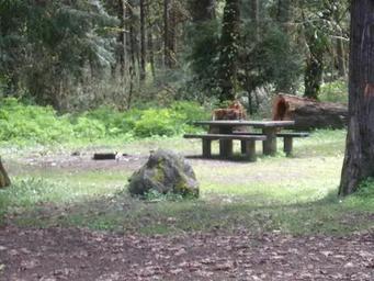 Black Canyon Campground