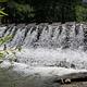 Charlton Swim Site - Dam